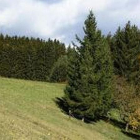 Landgasthof Hauser Immendingen エクステリア 写真